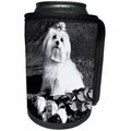 3dRose Dogs Maltese - Maltese - Can Cooler Bottle Wrap (cc_256)