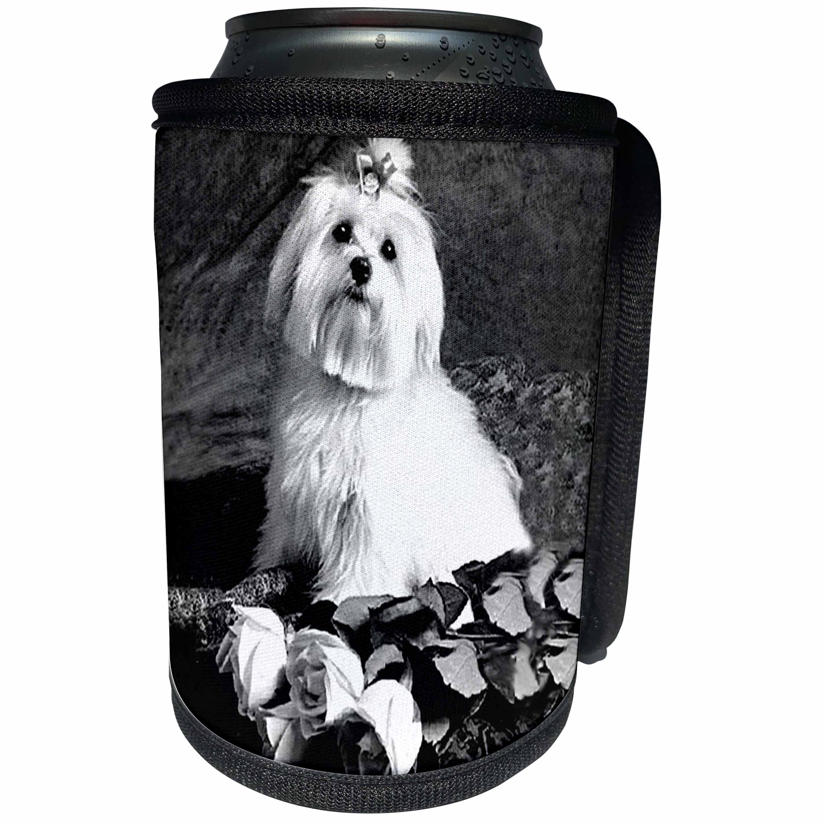 3dRose Dogs Maltese - Maltese - Can Cooler Bottle Wrap (cc_256)