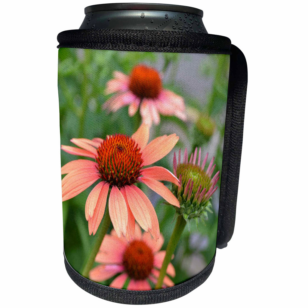 3dRose Patricia Sanders Flowers - Peach Colored Echinacea Flowers - Can Cooler Bottle Wrap (cc_25601)