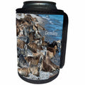 3dRose Germany - Image of Group Of Gray Seals On Germany Coast - Can Cooler Bottle Wrap (cc_256137)