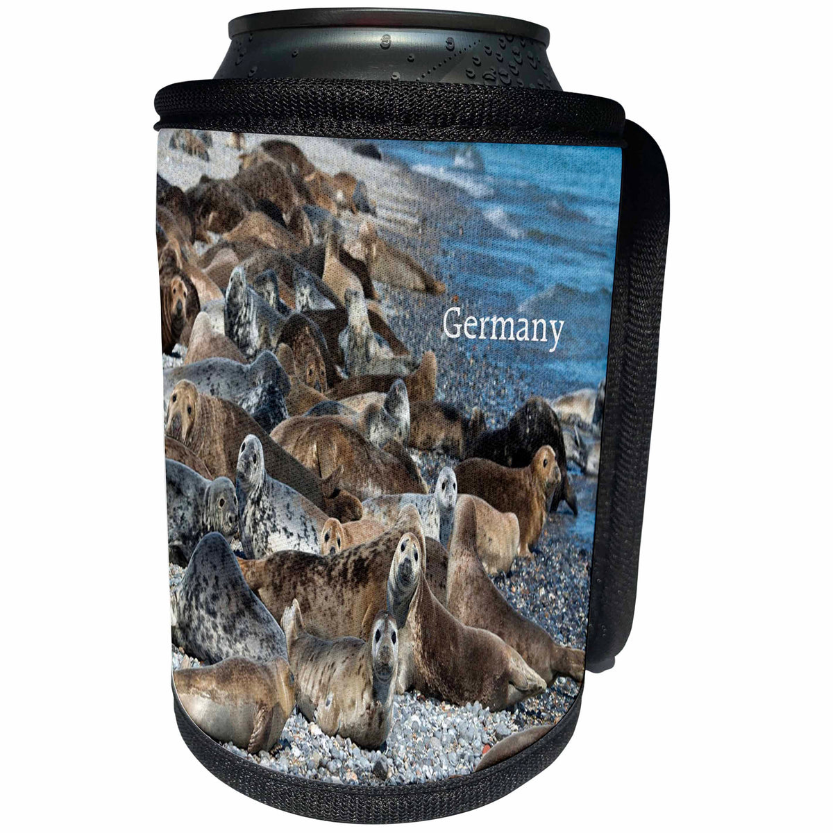 3dRose Germany - Image of Group Of Gray Seals On Germany Coast - Can Cooler Bottle Wrap (cc_256137)