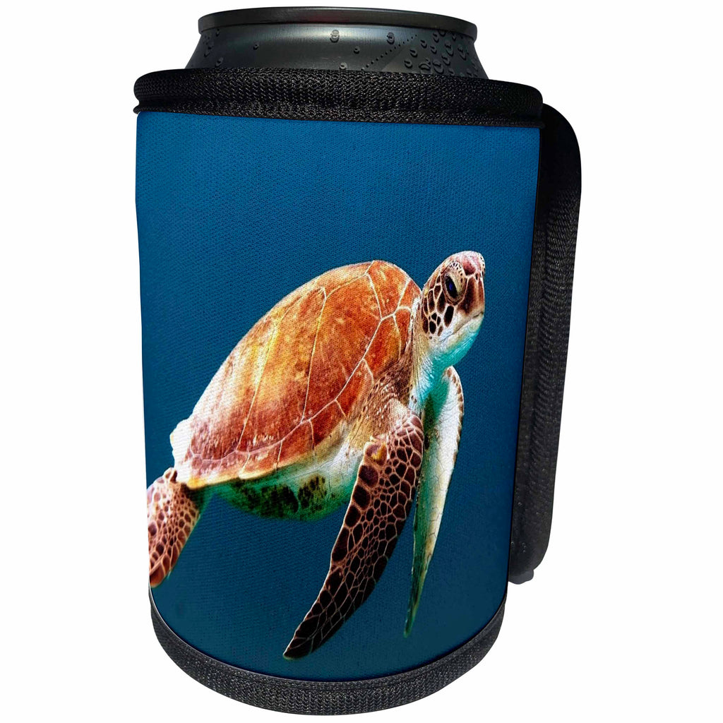 3dRose Sea Life - Image of Closeup Of Large Turtle Underwater - Can Cooler Bottle Wrap (cc_256153)