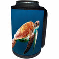 3dRose Sea Life - Image of Closeup Of Large Turtle Underwater - Can Cooler Bottle Wrap (cc_256153)