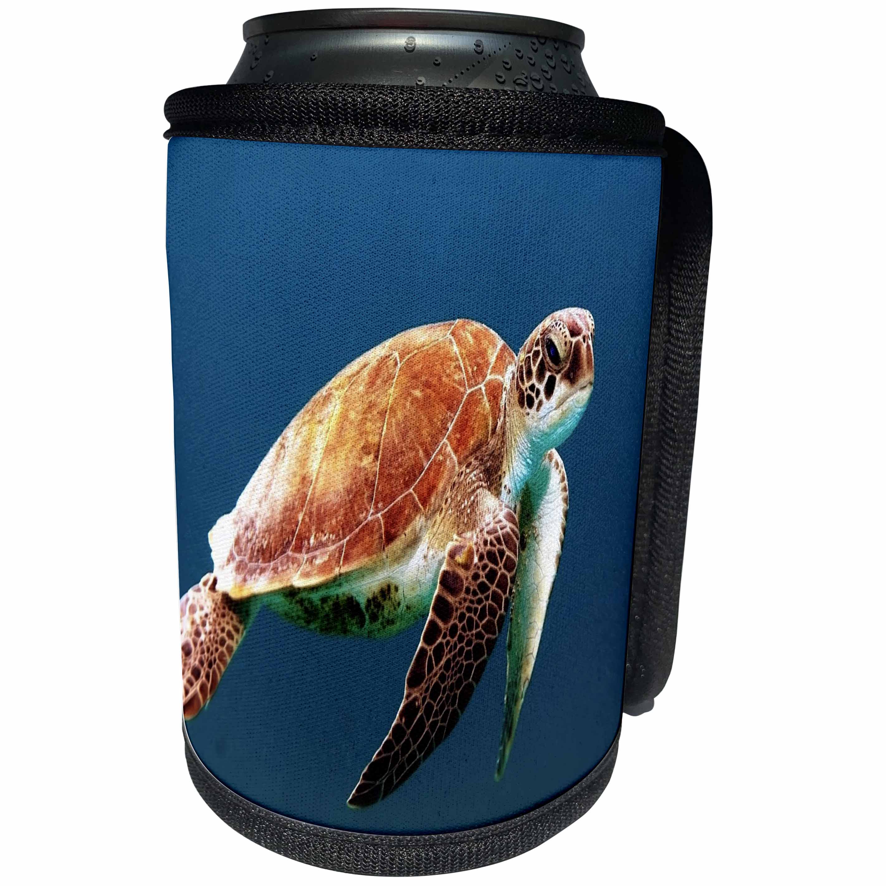 3dRose Sea Life - Image of Closeup Of Large Turtle Underwater - Can Cooler Bottle Wrap (cc_256153)