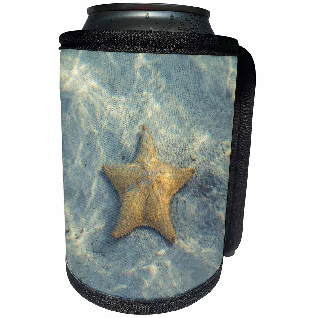 3dRose Sea Life - Image of Sea life Star Fish In Water - Can Cooler Bottle Wrap (cc_256155)