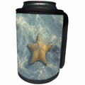 3dRose Sea Life - Image of Sea life Star Fish In Water - Can Cooler Bottle Wrap (cc_256155)