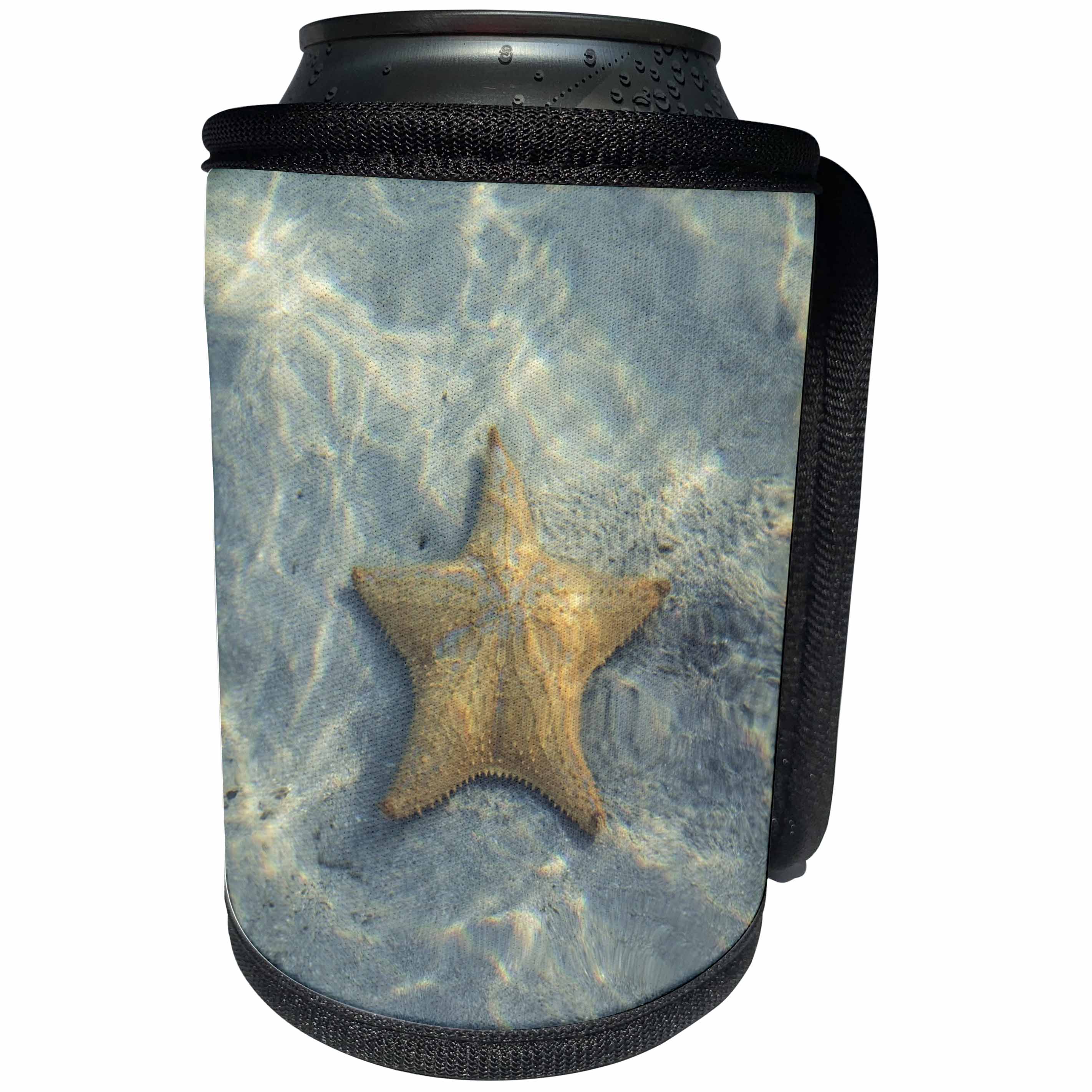 3dRose Sea Life - Image of Sea life Star Fish In Water - Can Cooler Bottle Wrap (cc_256155)