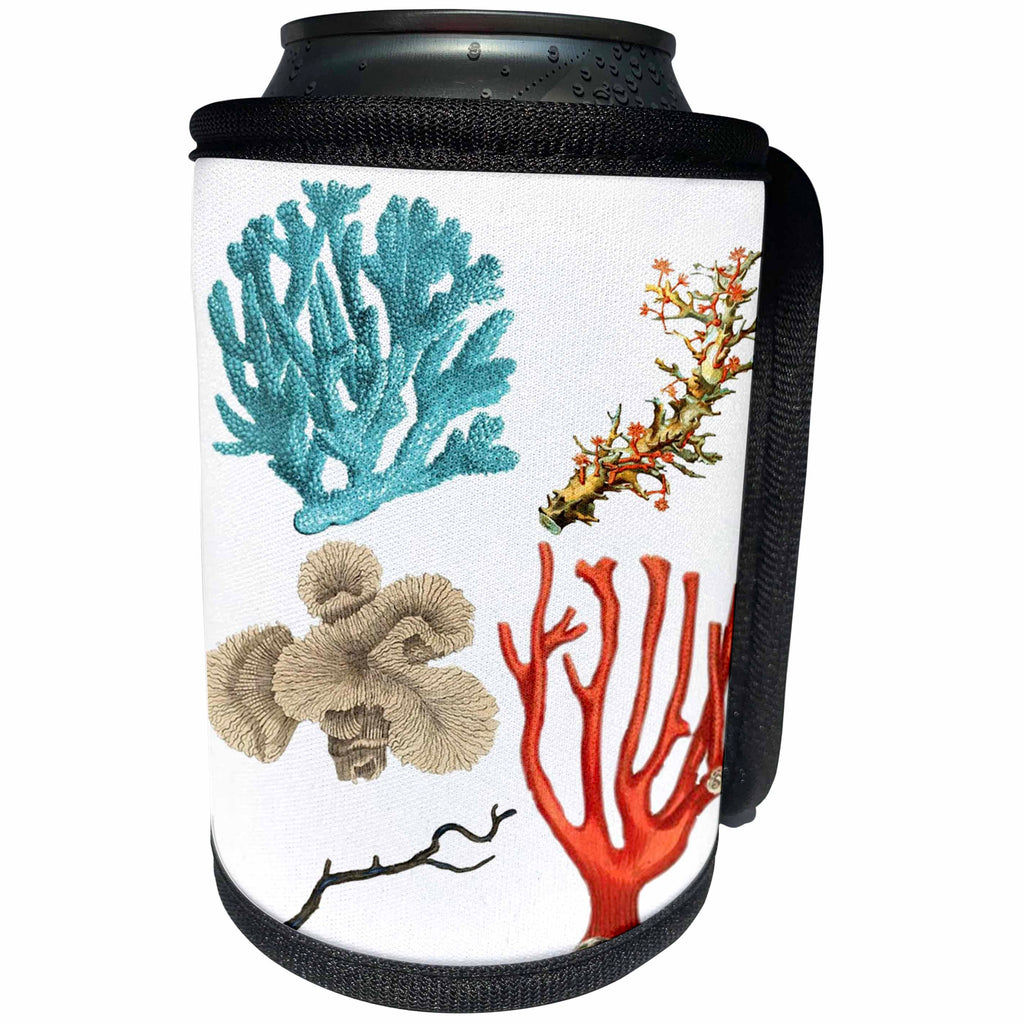 3dRose Sea Life - Image of Assorted Coral And Sea life - Can Cooler Bottle Wrap (cc_256157)