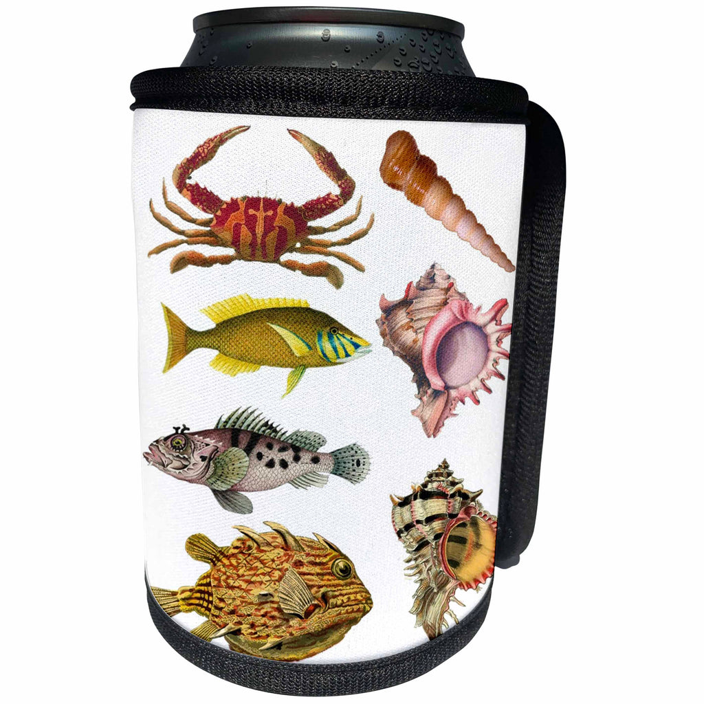 3dRose Sea Life - Image of Fish And Shell Collage - Can Cooler Bottle Wrap (cc_256159)