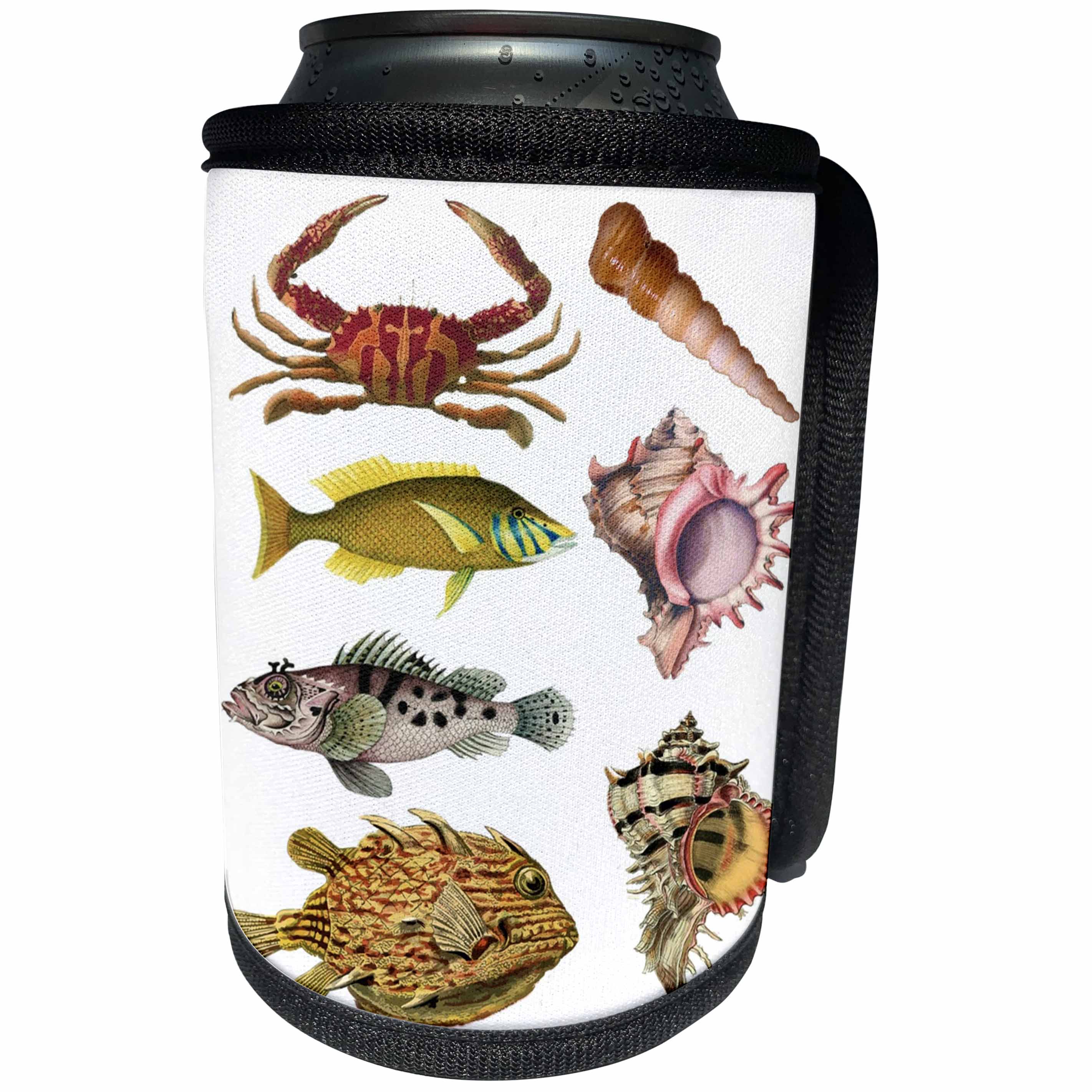 3dRose Sea Life - Image of Fish And Shell Collage - Can Cooler Bottle Wrap (cc_256159)