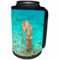 3dRose Sea Life Orange Seahorse - Image of Orange Seahorse Underwater - Can Cooler Bottle Wrap (cc_256296)
