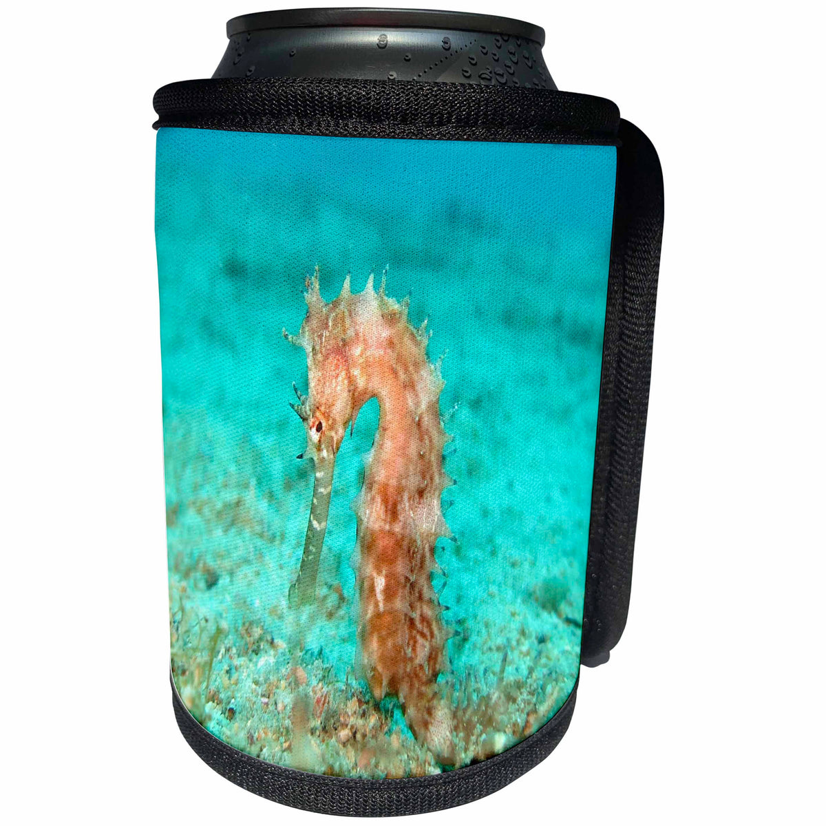 3dRose Sea Life Orange Seahorse - Image of Orange Seahorse Underwater - Can Cooler Bottle Wrap (cc_256296)