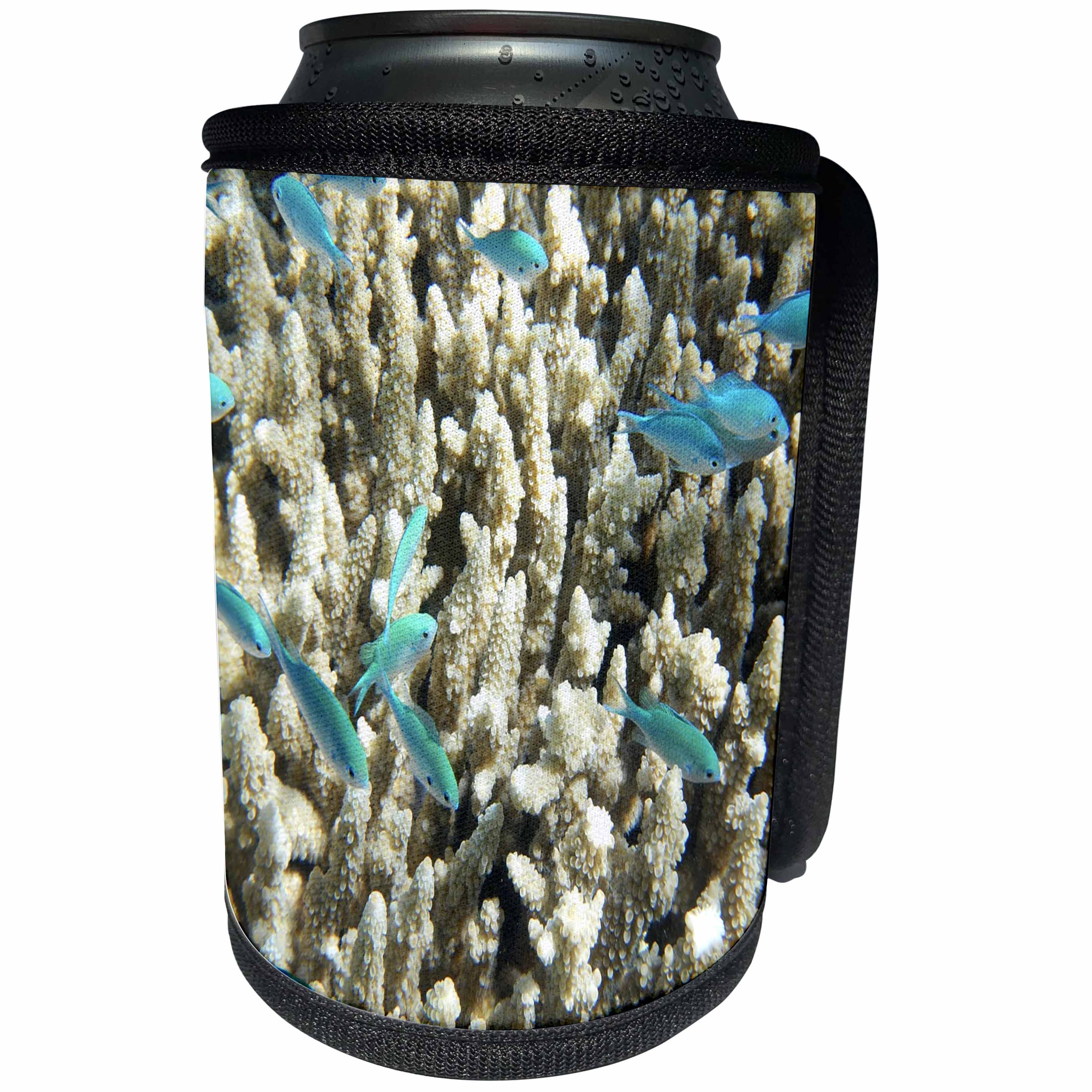 3dRose Sea Life Aqua Fish - Image of Aqua Fish On Ivory Coral Underwater - Can Cooler Bottle Wrap (cc_256302)