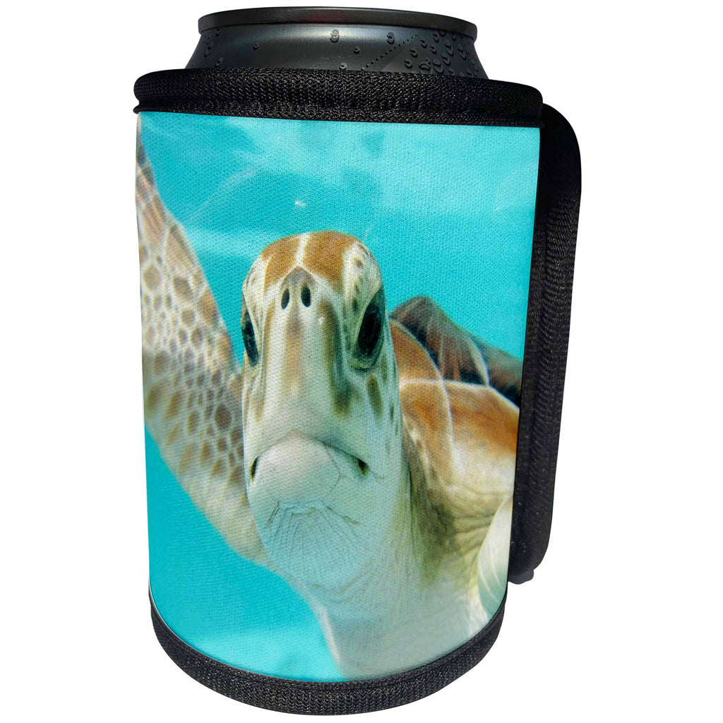 3dRose Sea Life Turtle Underwater - Image of Closeup Of Turtle Face Underwater - Can Cooler Bottle Wrap (cc_256303)