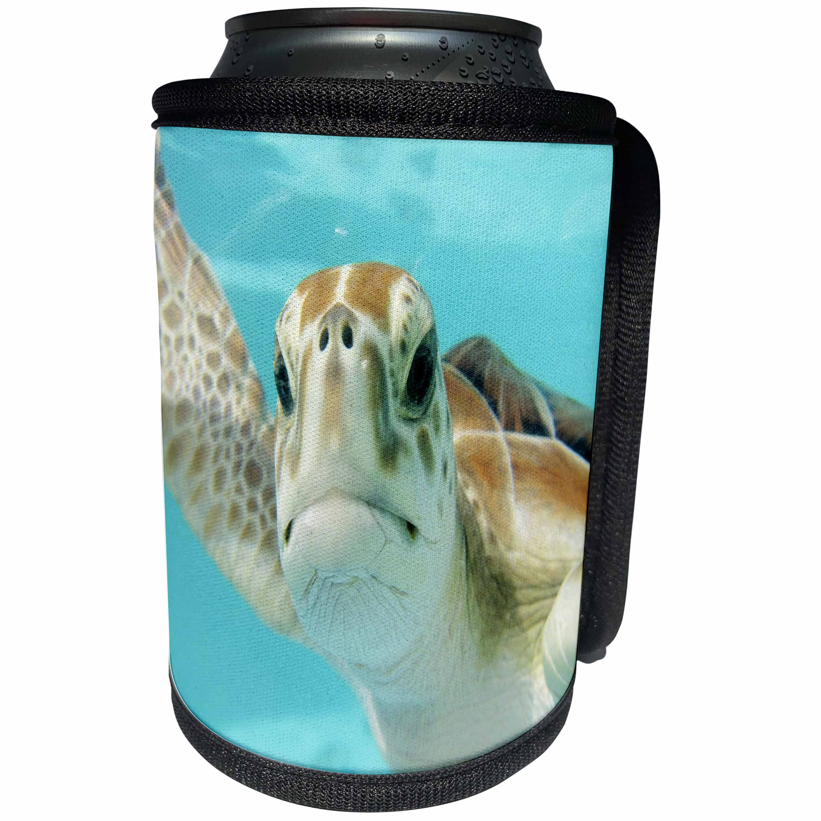 3dRose Sea Life Turtle Underwater - Image of Closeup Of Turtle Face Underwater - Can Cooler Bottle Wrap (cc_256303)