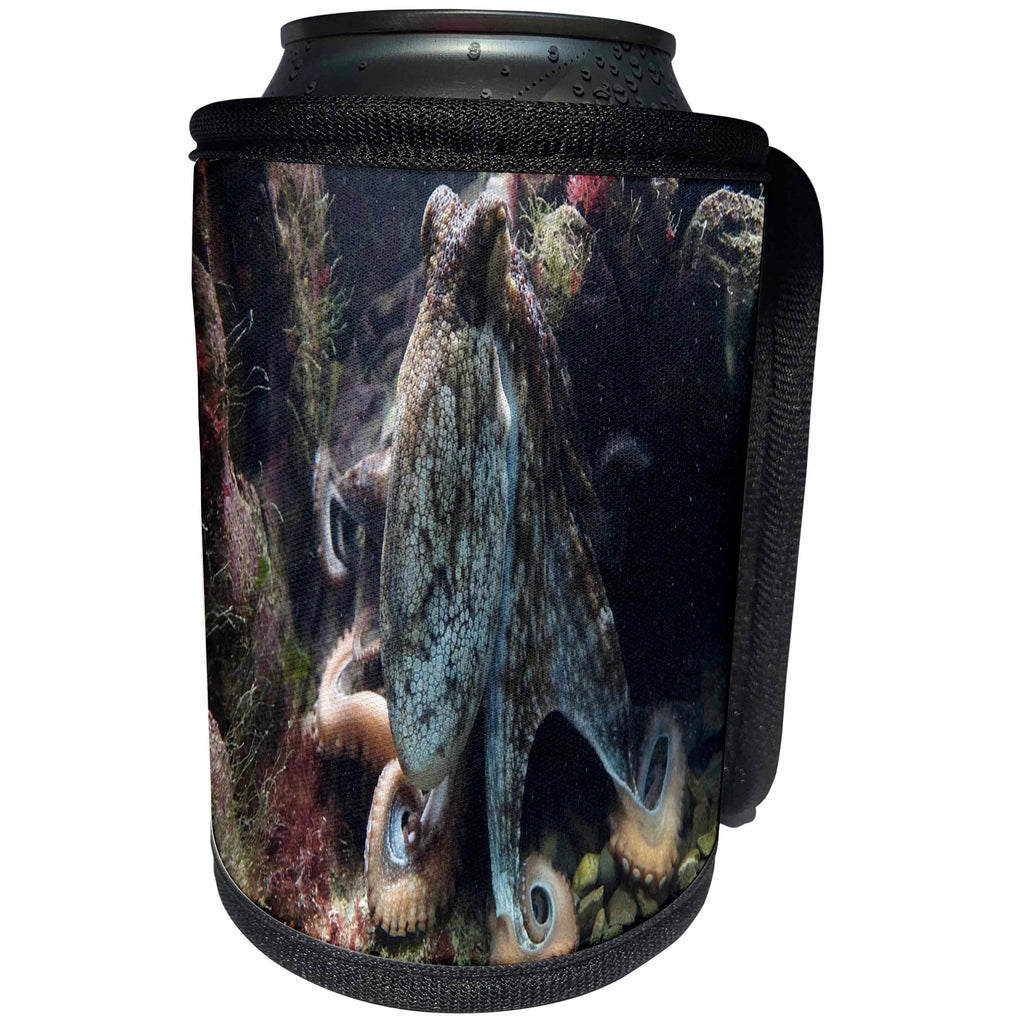 3dRose Sea Life Octopus - Image of Octopus Underwater - Can Cooler Bottle Wrap (cc_256306)
