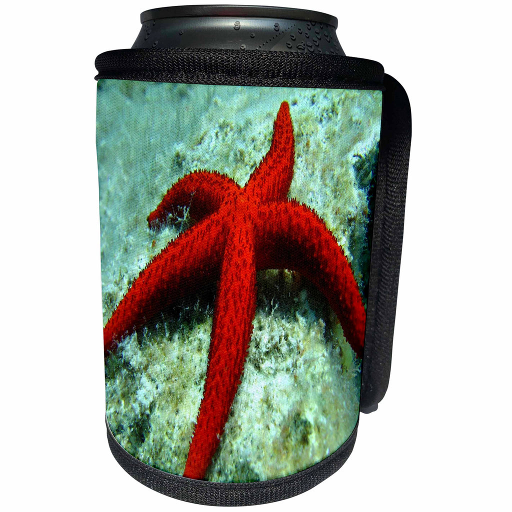 3dRose Sea Life Red Star Fish - Image of Large Red Starfish On Bottom Of Sea - Can Cooler Bottle Wrap (cc_256310)