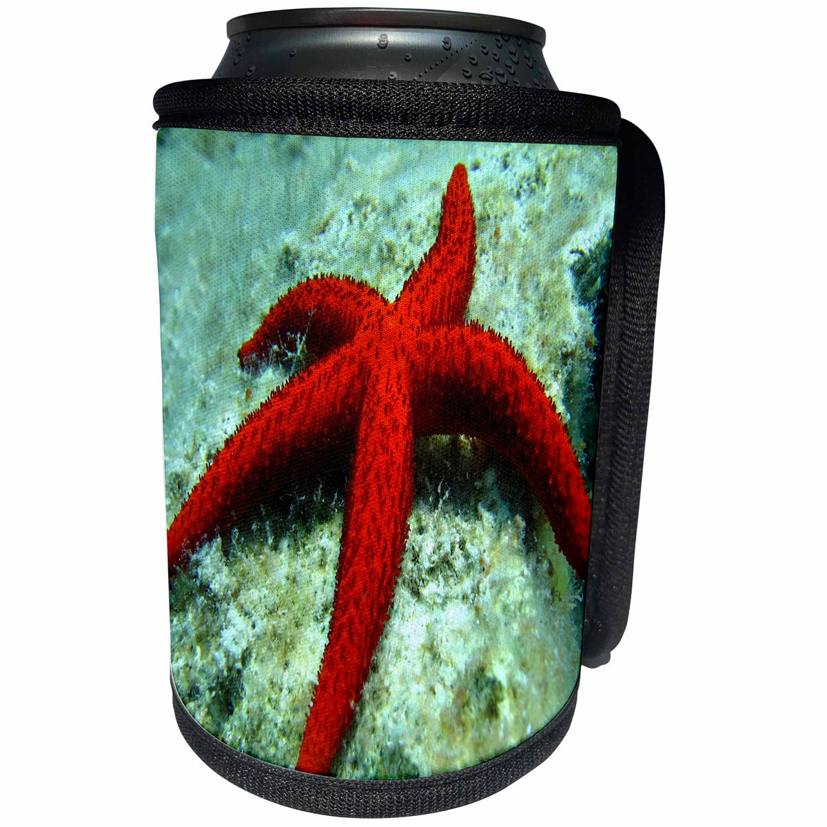 3dRose Sea Life Red Star Fish - Image of Large Red Starfish On Bottom Of Sea - Can Cooler Bottle Wrap (cc_256310)