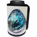3dRose Shells Abalone - Image of Closeup Of Beautiful Abalone Shell - Can Cooler Bottle Wrap (cc_256316)