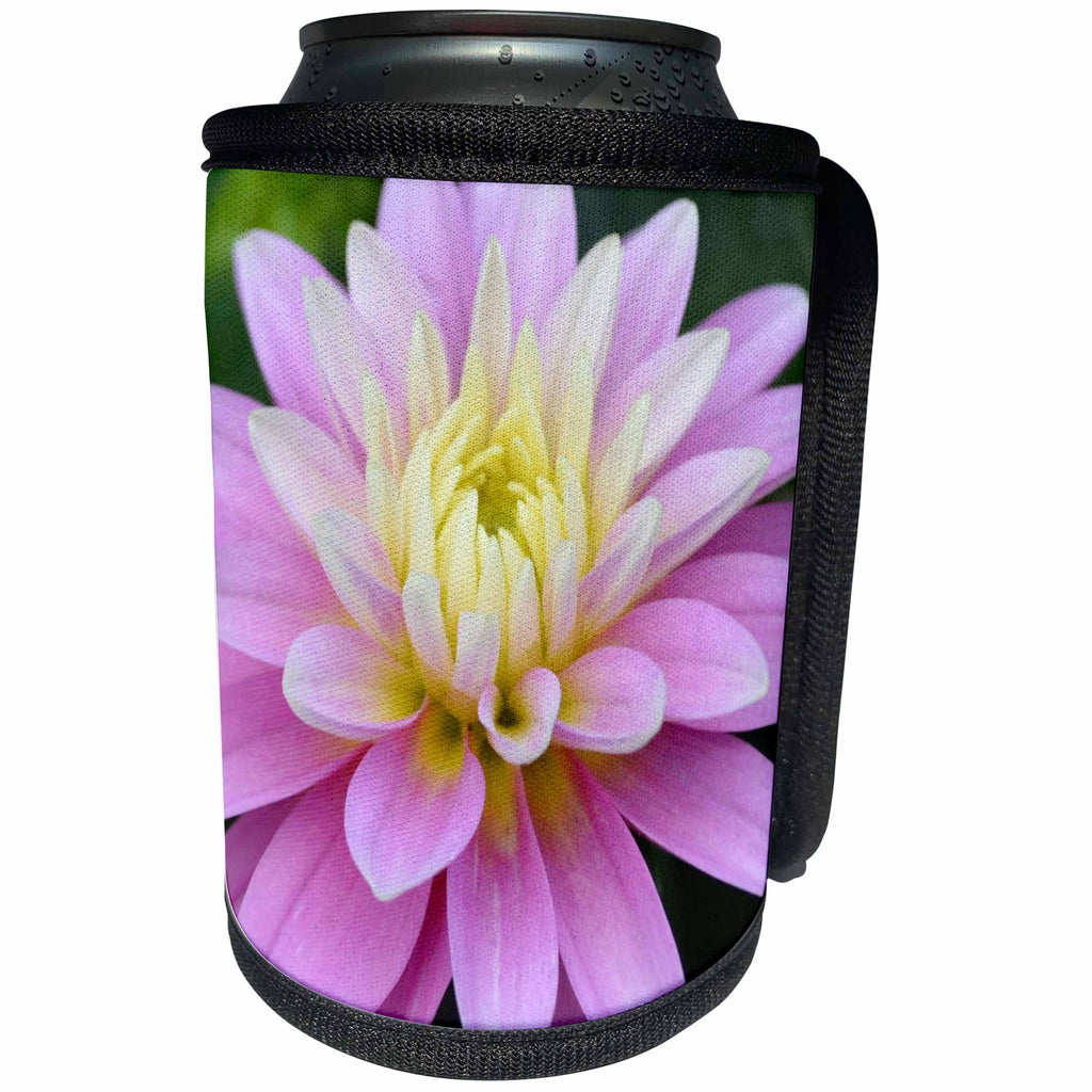 3dRose Patricia Sanders Flowers - Beauty in Nature II - Can Cooler Bottle Wrap (cc_25644)