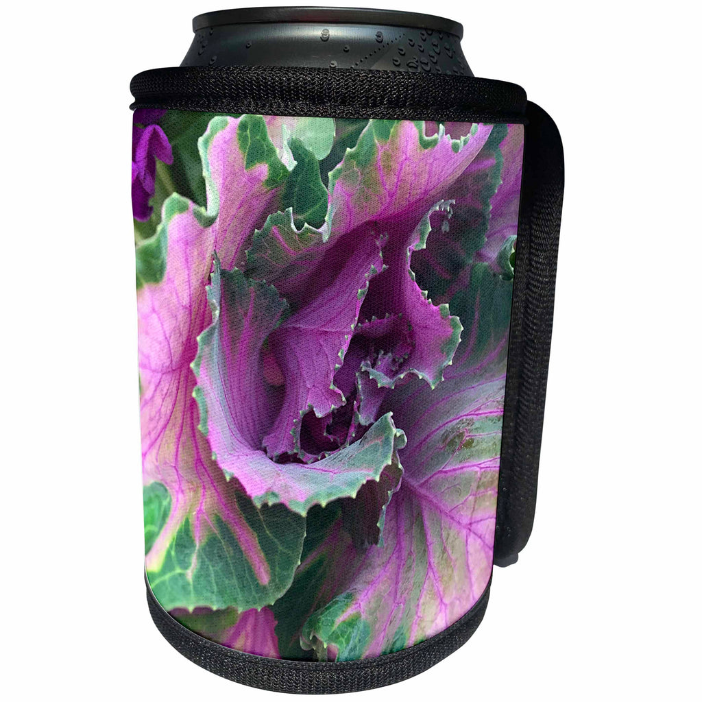 3dRose BrooklynMeme Nature - Cabbage Flower - Can Cooler Bottle Wrap (cc_256630)
