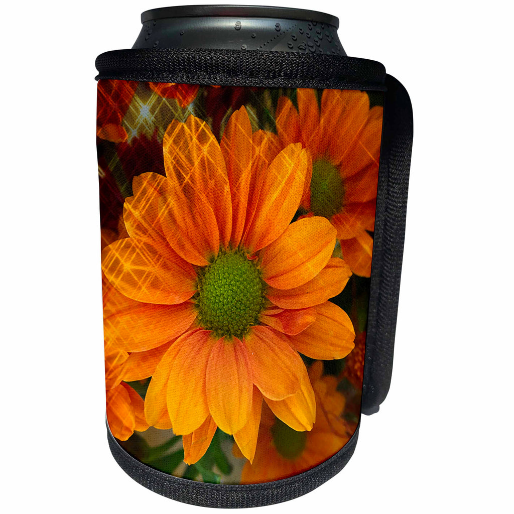 3dRose BrooklynMeme Nature - Orange daisy design - Can Cooler Bottle Wrap (cc_256632)