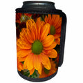 3dRose BrooklynMeme Nature - Orange daisy design - Can Cooler Bottle Wrap (cc_256632)