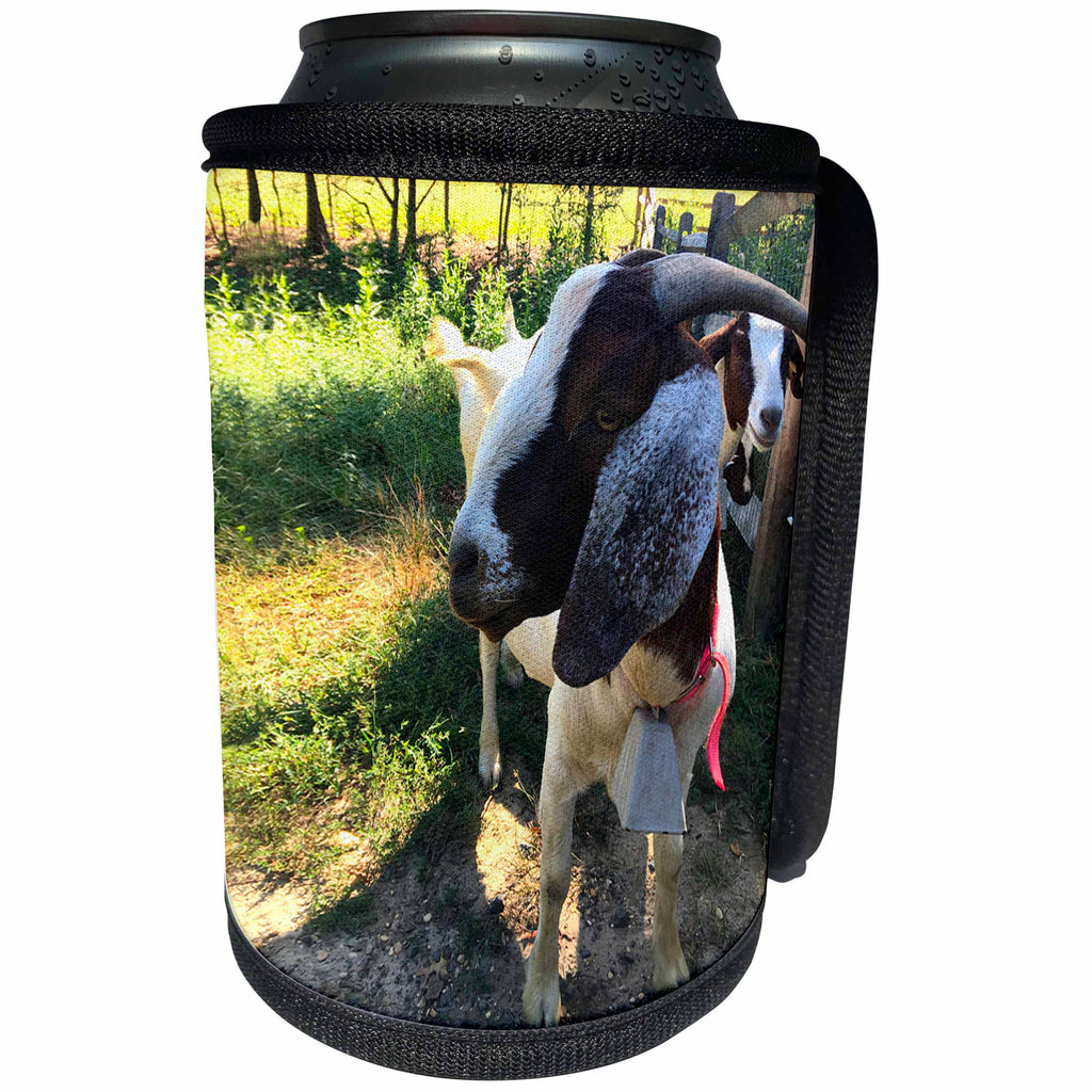 3dRose BrooklynMeme Farm Animals - Goat - Can Cooler Bottle Wrap (cc_256633)