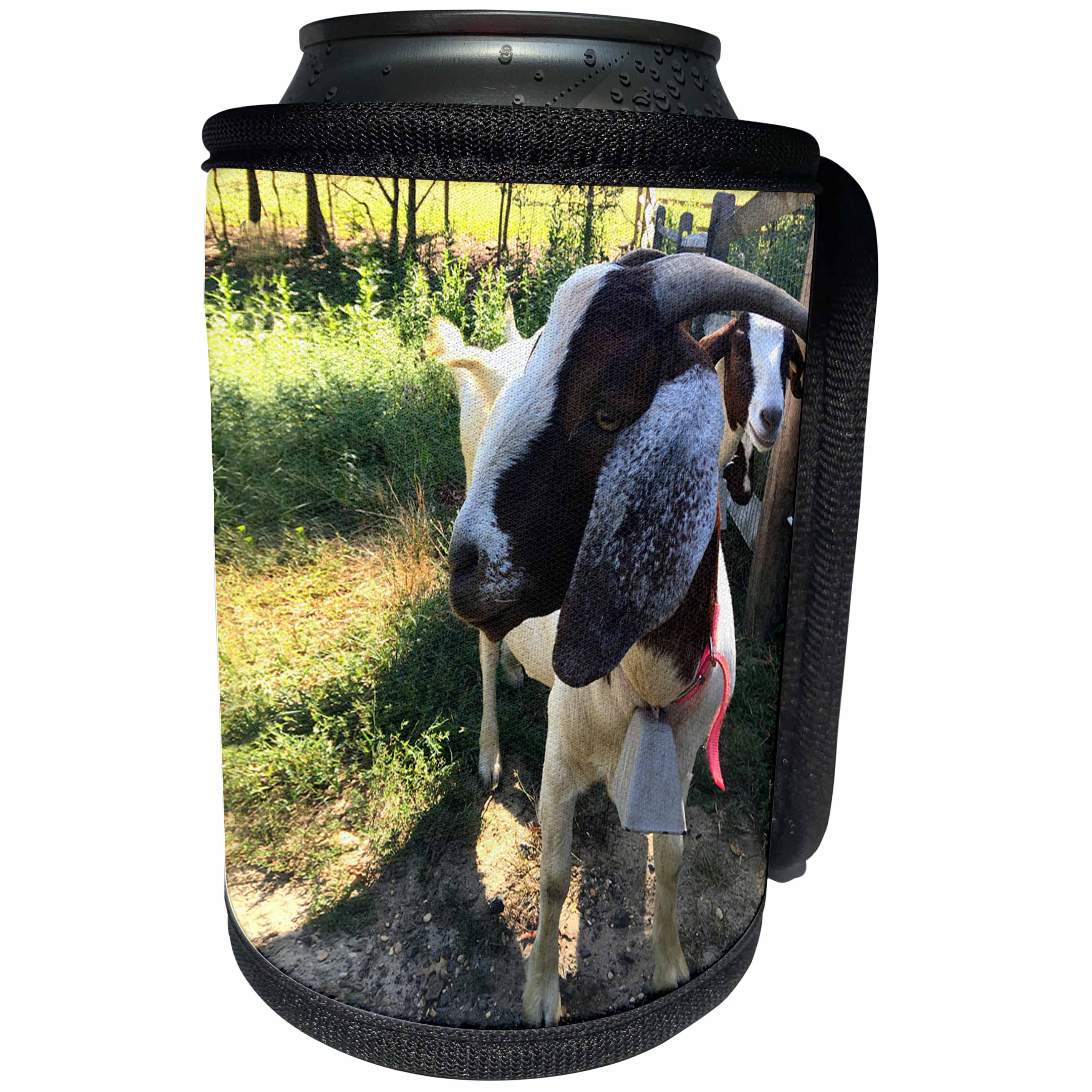 3dRose BrooklynMeme Farm Animals - Goat - Can Cooler Bottle Wrap (cc_256633)