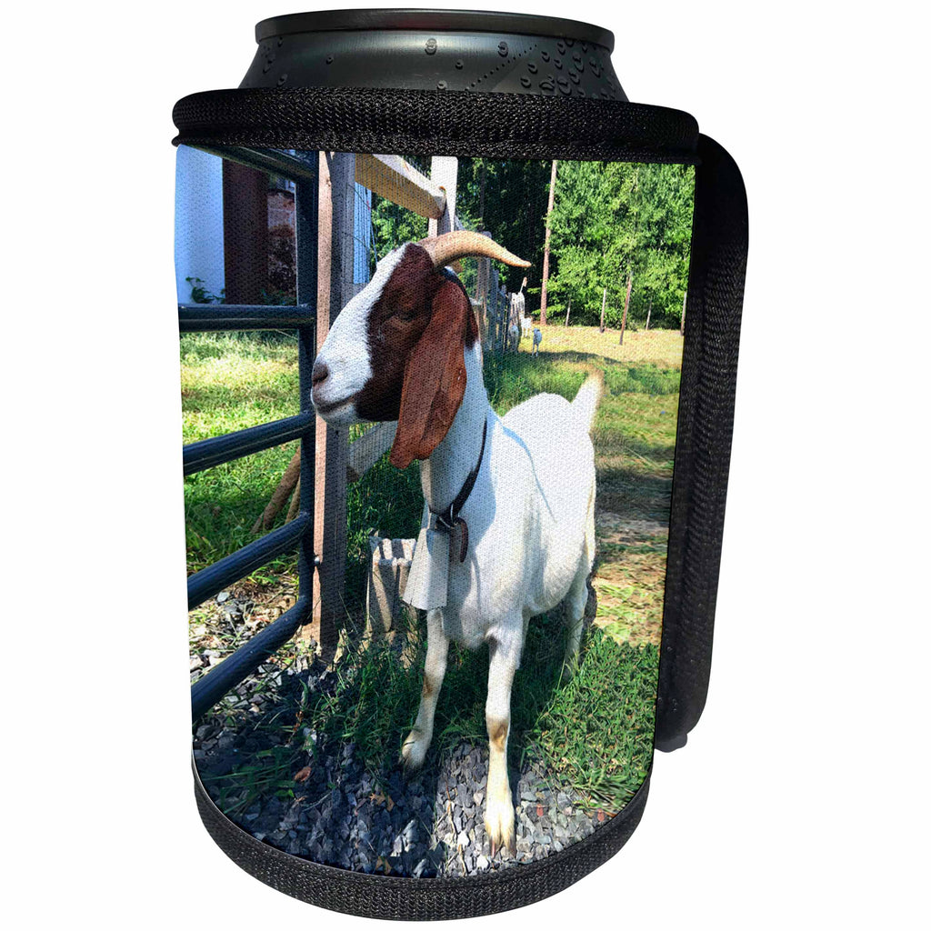 3dRose BrooklynMeme Farm Animals - Goat white and brown - Can Cooler Bottle Wrap (cc_256634)