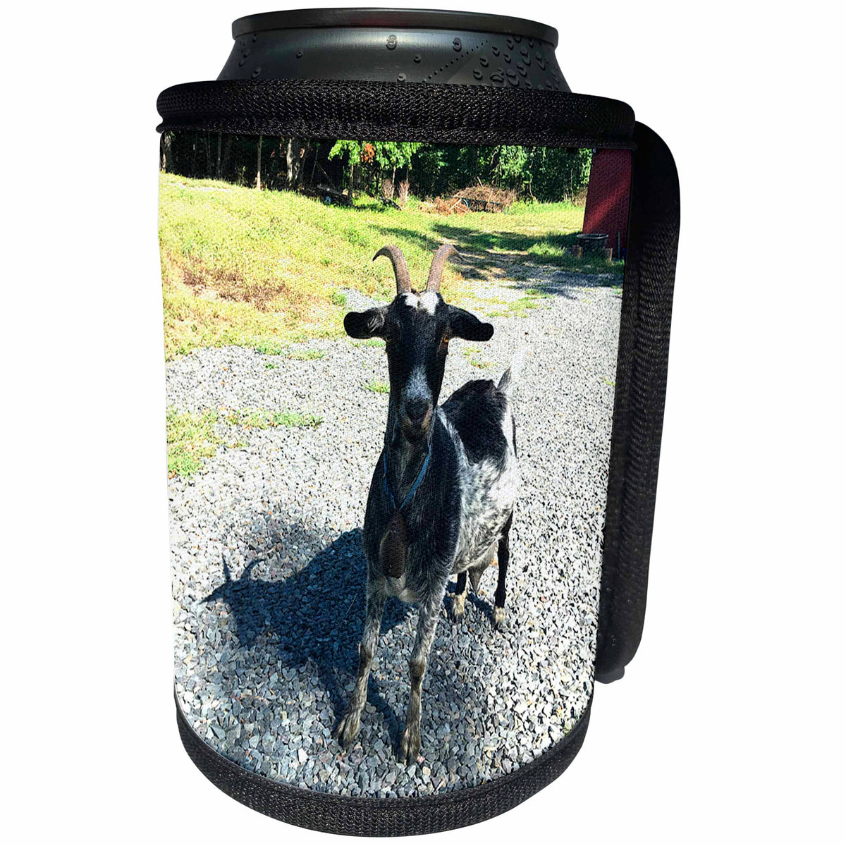 3dRose BrooklynMeme Farm Animals - Goat black - Can Cooler Bottle Wrap (cc_256635)