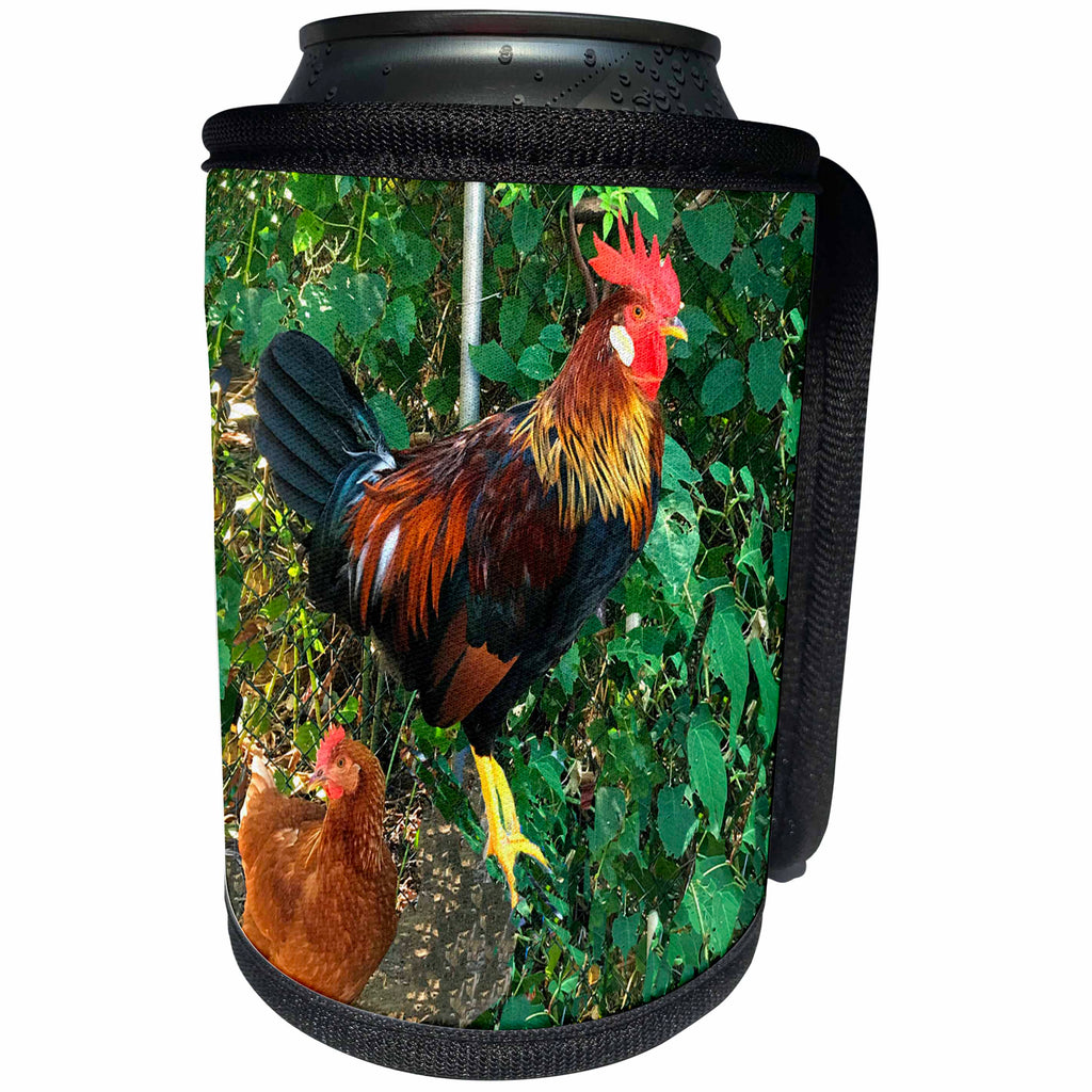 3dRose BrooklynMeme Farm Animals - Ameraucana Rooster - Can Cooler Bottle Wrap (cc_256642)