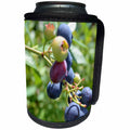 3dRose Patricia Sanders Photography - Blueberry Expression - Can Cooler Bottle Wrap (cc_25669)