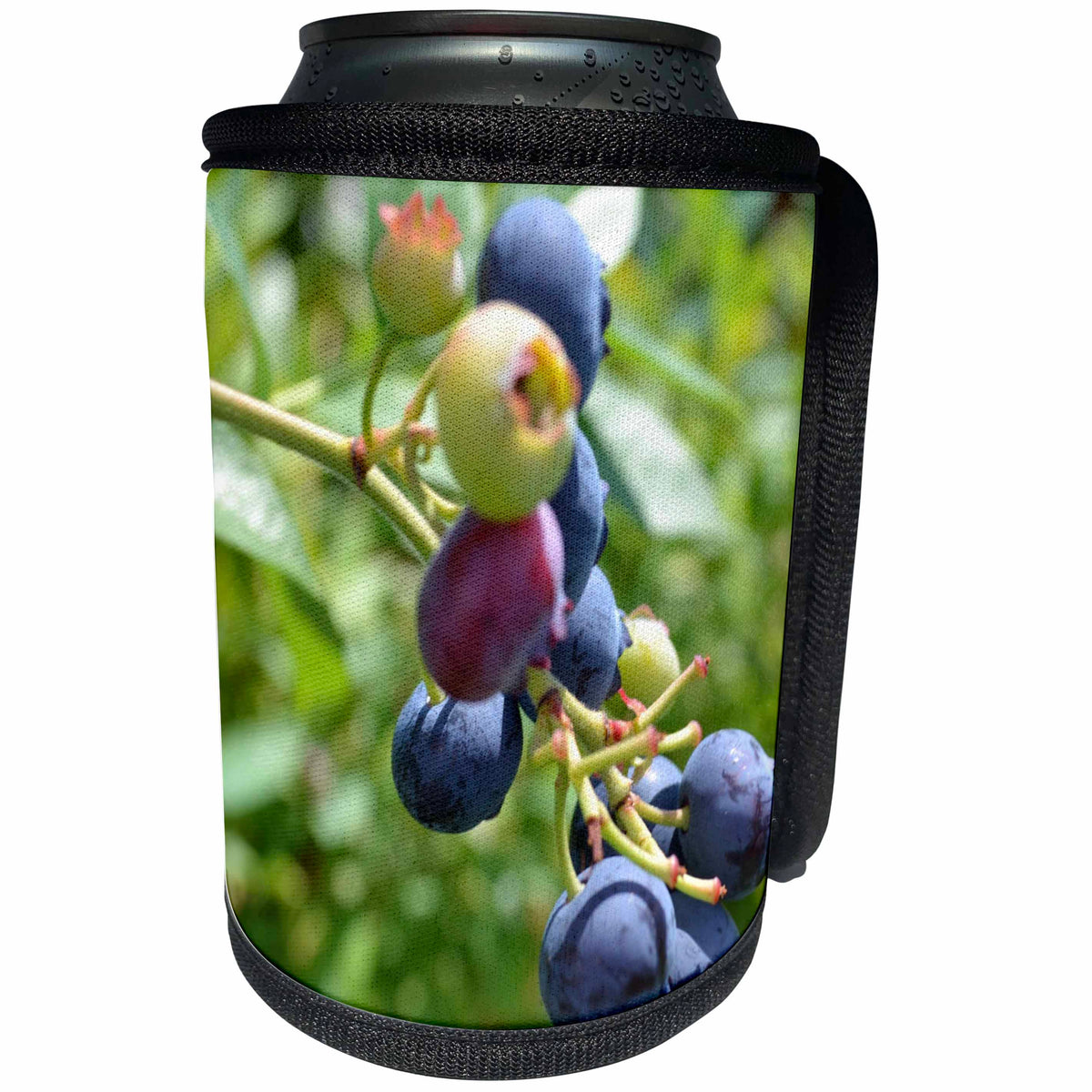 3dRose Patricia Sanders Photography - Blueberry Expression - Can Cooler Bottle Wrap (cc_25669)