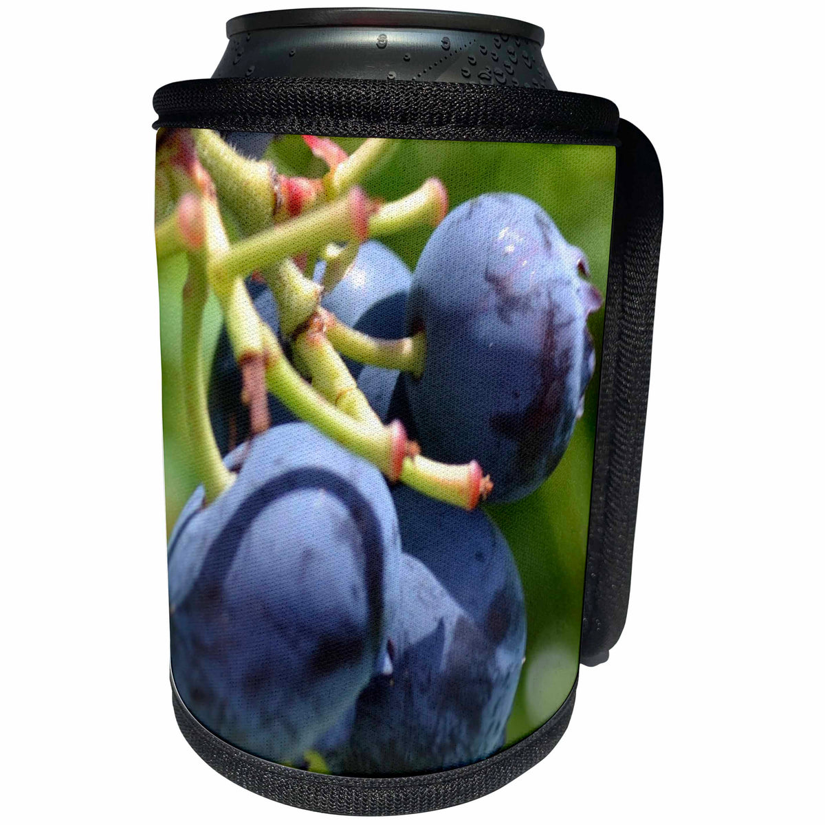 3dRose Patricia Sanders Photography - Blueberry Expression II - Can Cooler Bottle Wrap (cc_25670)