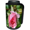 3dRose Patricia Sanders Flowers - Pink Rose Floral - Can Cooler Bottle Wrap (cc_25678)