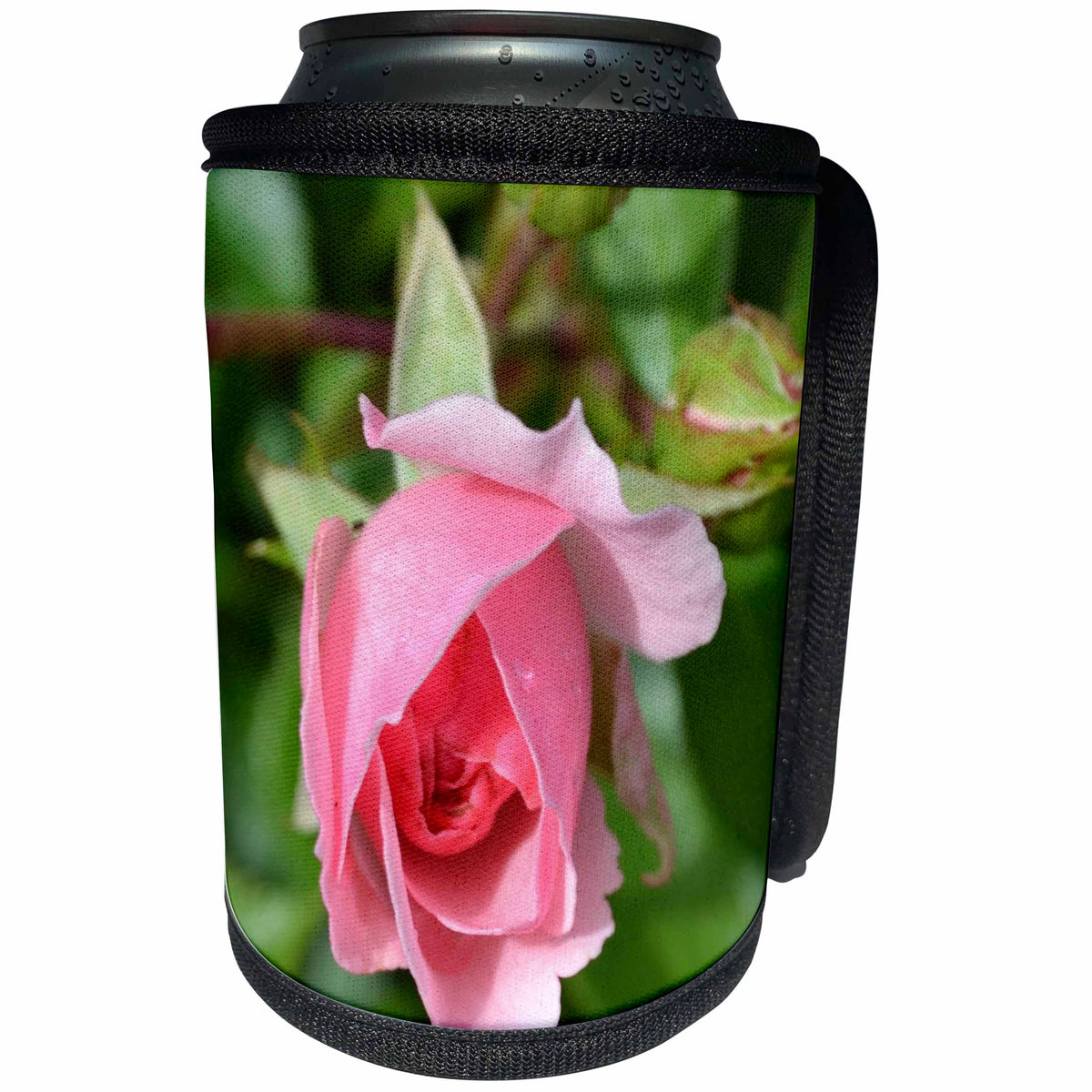 3dRose Patricia Sanders Flowers - Pink Rose Floral - Can Cooler Bottle Wrap (cc_25678)