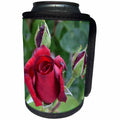 3dRose Patricia Sanders Flowers - Red Rose Floral - Can Cooler Bottle Wrap (cc_25679)