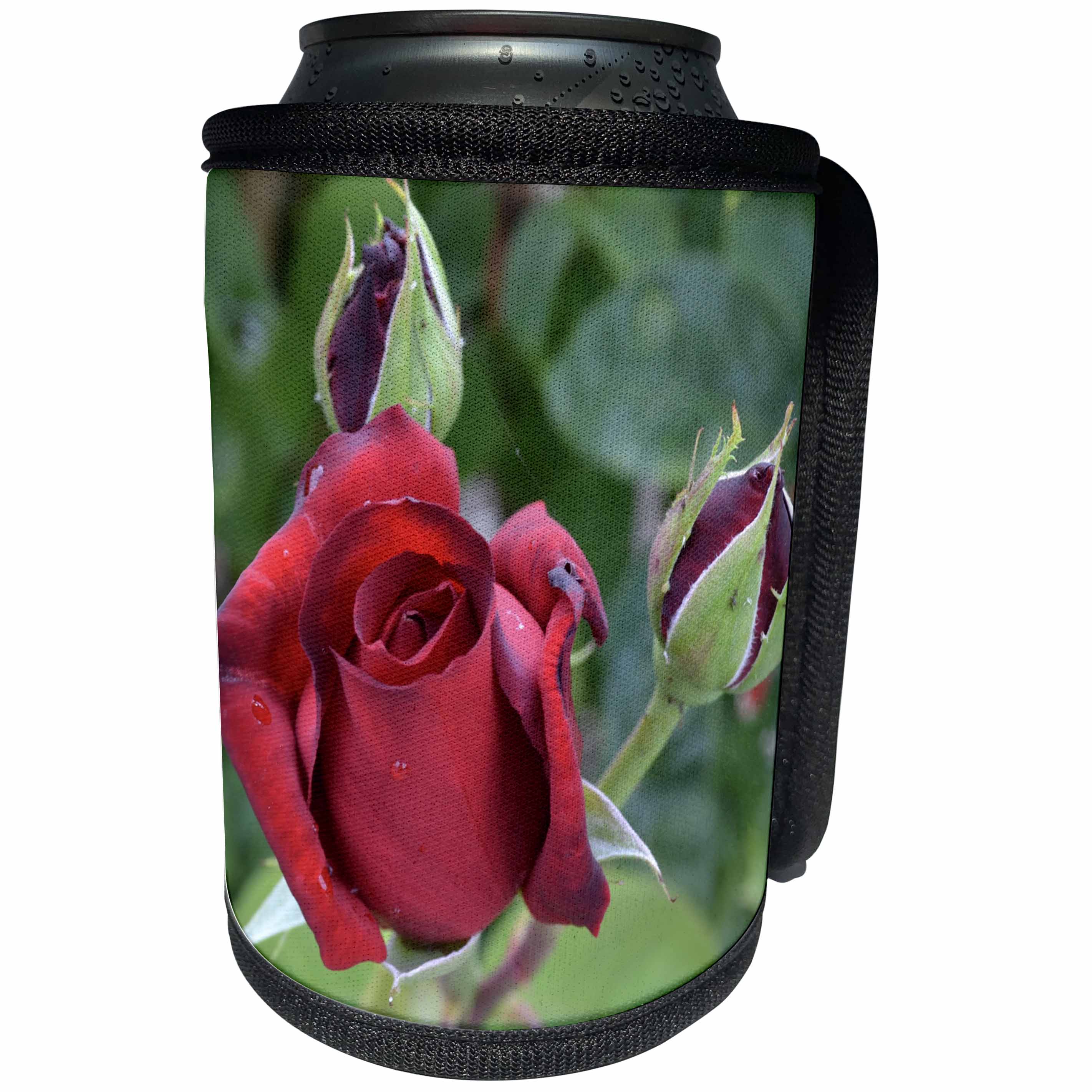 3dRose Patricia Sanders Flowers - Red Rose Floral - Can Cooler Bottle Wrap (cc_25679)