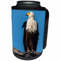 3dRose Danita Delimont - Birds of Prey - Botswana. African fish eagle looks out for a meal. - Can Cooler Bottle Wrap (cc_256827)