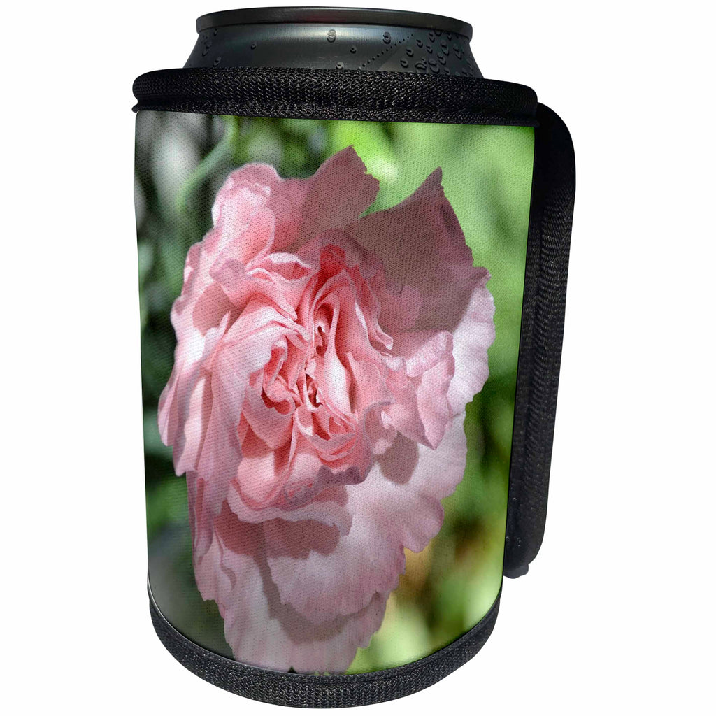3dRose Patricia Sanders Flowers - Pink Carnation Floral II - Can Cooler Bottle Wrap (cc_25683)