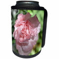 3dRose Patricia Sanders Flowers - Pink Carnation Floral II - Can Cooler Bottle Wrap (cc_25683)