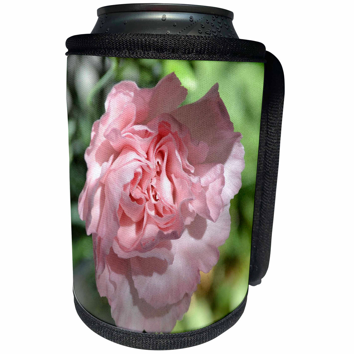 3dRose Patricia Sanders Flowers - Pink Carnation Floral II - Can Cooler Bottle Wrap (cc_25683)