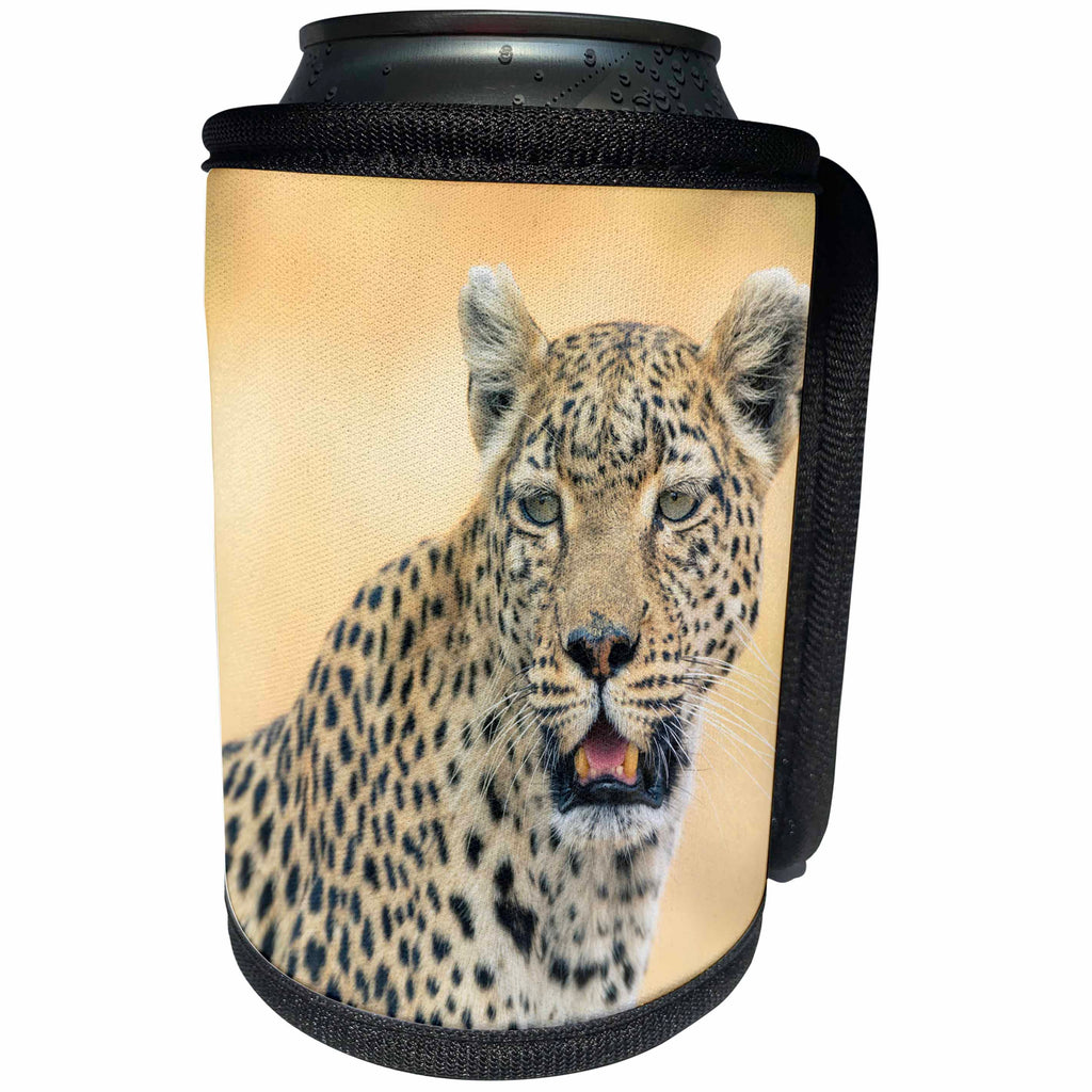 3dRose Danita Delimont - Leopard - Botswana. Okavango Delta. Khwai concession. Leopard looks out for prey - Can Cooler Bottle Wrap (cc_256832)
