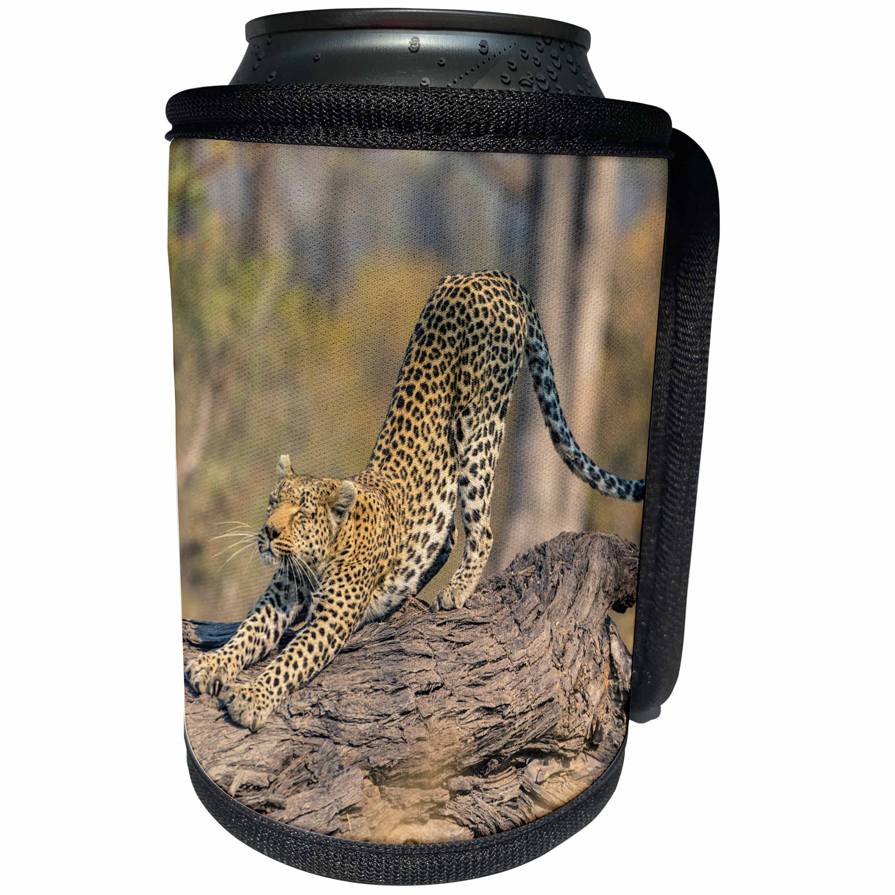 3dRose Danita Delimont - Leopard - Botswana. Okavango Delta. Leopard stretching on a fallen log. - Can Cooler Bottle Wrap (cc_256835)