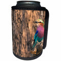3dRose Danita Delimont - Birds - Botswana. Okavango Delta. Khwai concession. Lilac-breasted roller. - Can Cooler Bottle Wrap (cc_256836)