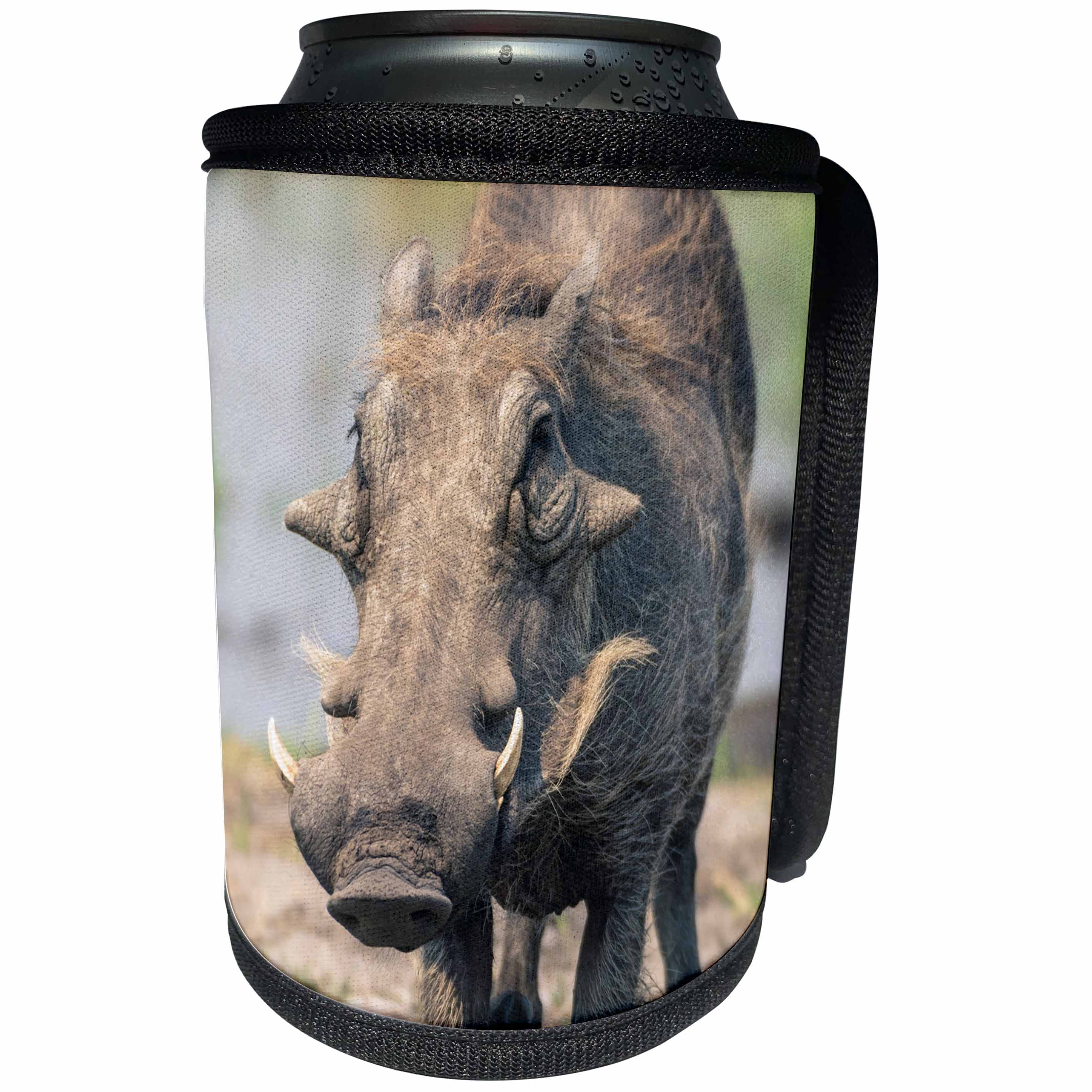 3dRose Danita Delimont - Warthogs - Botswana. Okavango Delta. Khwai concession. Common warthog grazing. - Can Cooler Bottle Wrap (cc_256837)