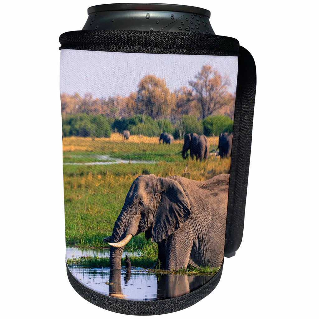3dRose Danita Delimont - Elephants - Botswana. Okavango. Khwai concession. Elephant drinking from pool. - Can Cooler Bottle Wrap (cc_256841)
