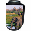 3dRose Danita Delimont - Elephants - Botswana. Okavango. Khwai concession. Elephant drinking from pool. - Can Cooler Bottle Wrap (cc_256841)
