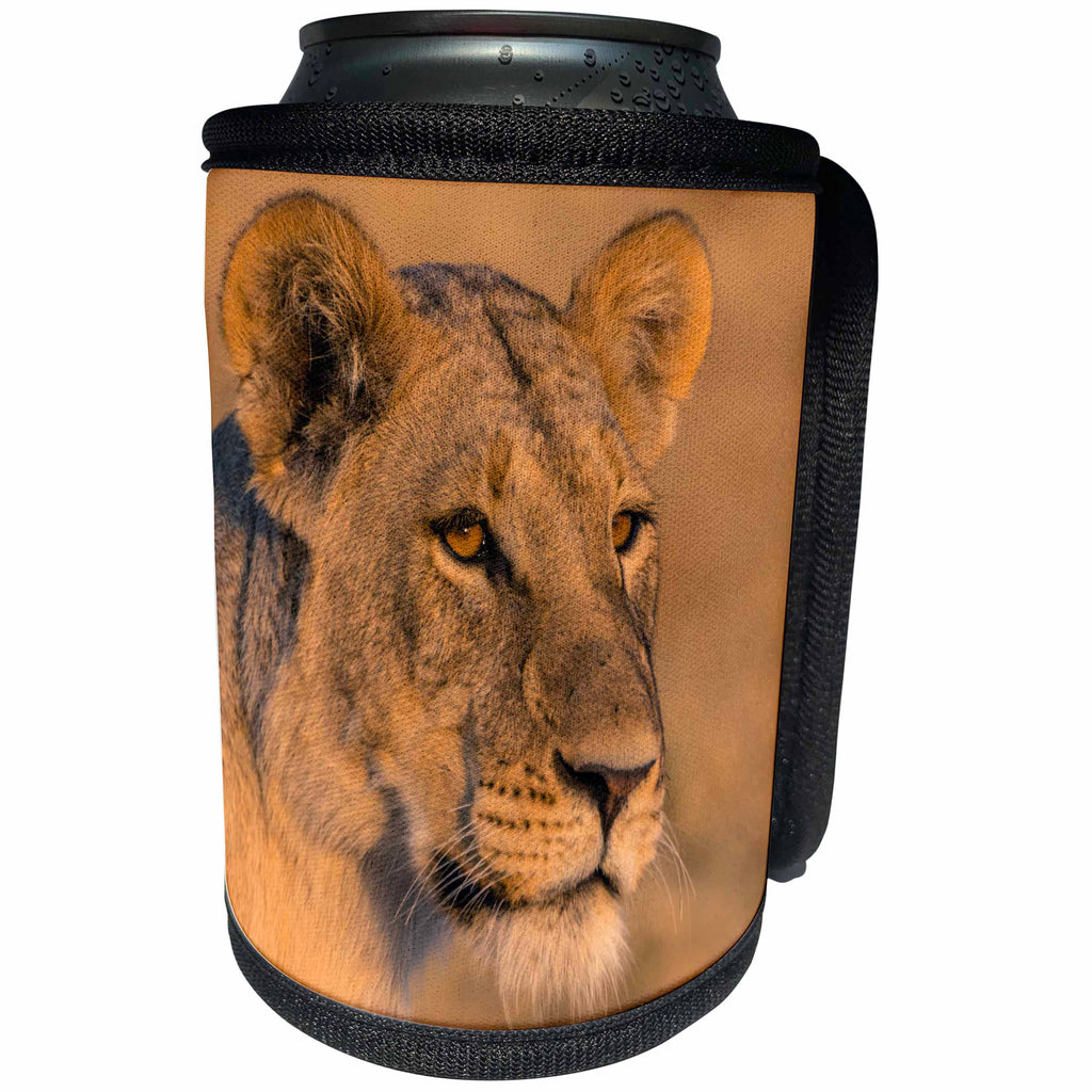 3dRose Danita Delimont - Lions - Botswana. Savuti. Female lion portrait. - Can Cooler Bottle Wrap (cc_256847)